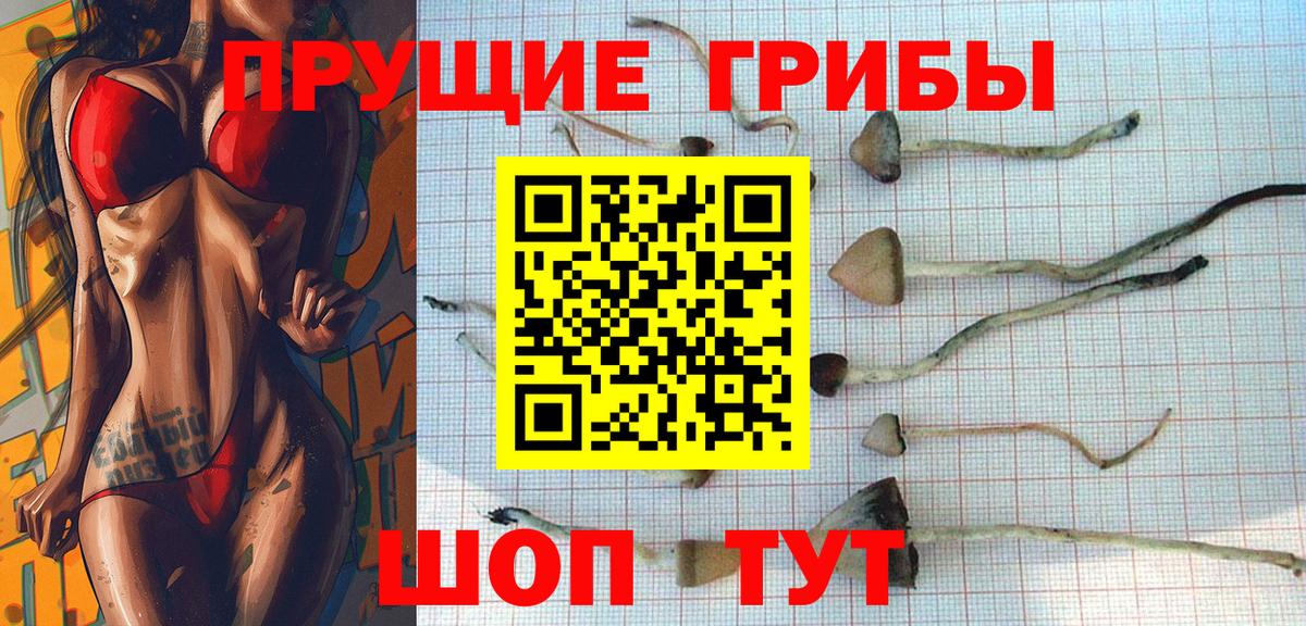 продажа наркотиков  Псилоцибиновые грибы прущие грибы  Вход с VPN  Галлюциногенные грибы мицелий  Бузулук 