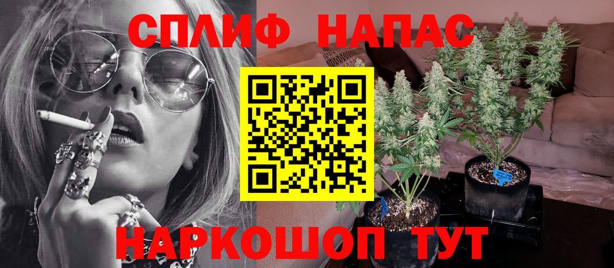 Конопля гибрид Бузулук